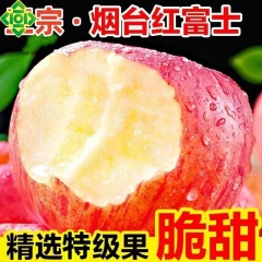 山东烟台红富士苹果（5斤左右）