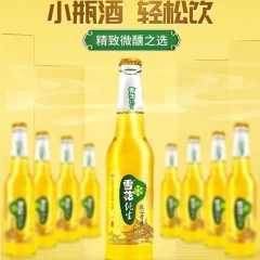 雪花纯生（金纯）啤酒500ml12瓶装