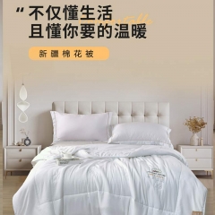 新疆棉花被200x230cm