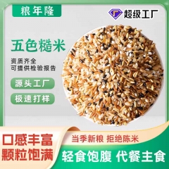 新米五色糙米杂粮米饭健身低脂代餐主食三色米红米黑米八宝粥原料